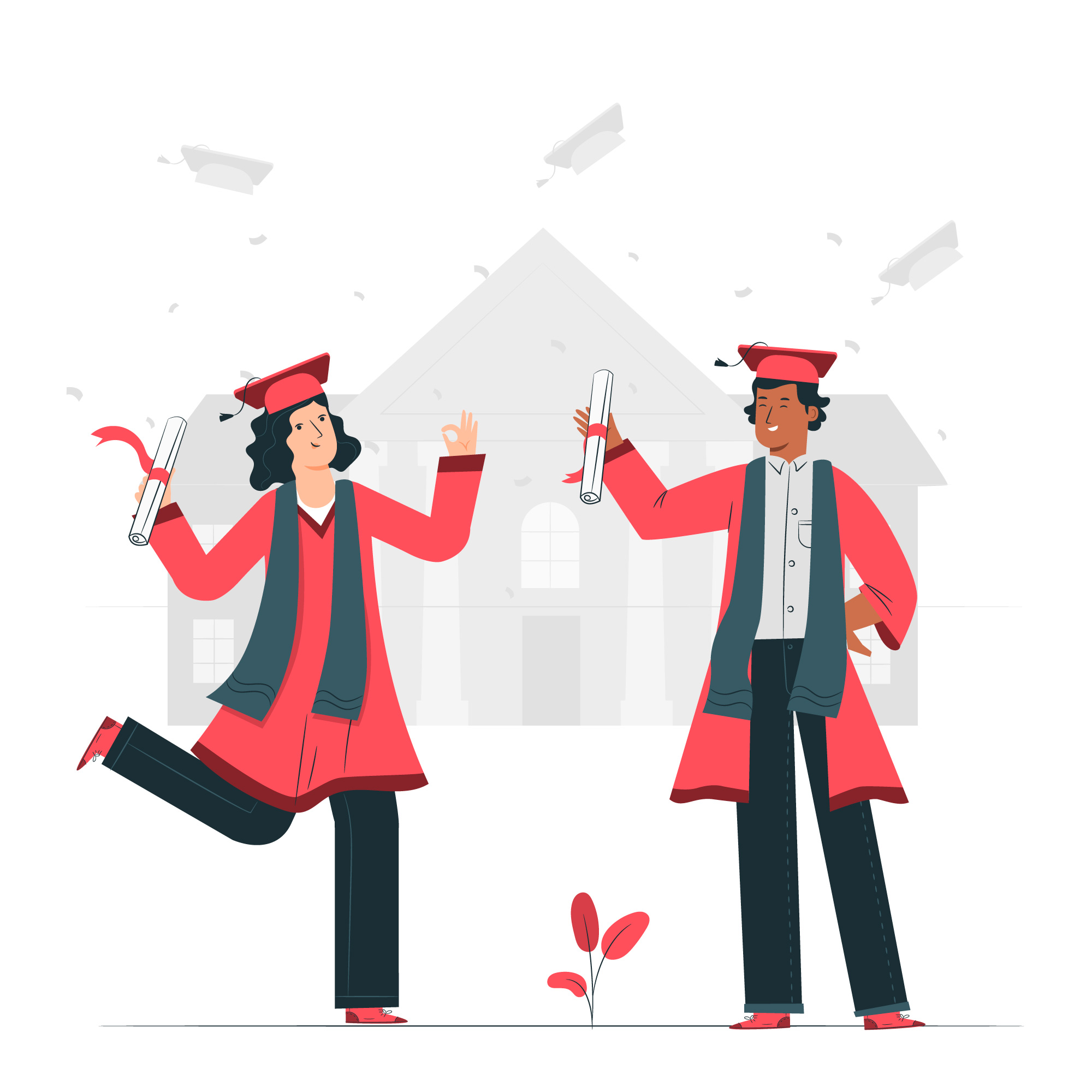Education & Study Abroad illustration